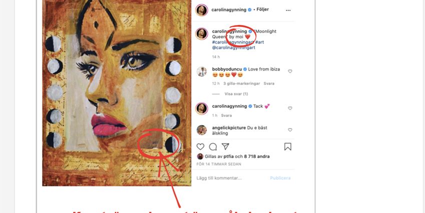 Bild från Carolina Gynnings Instagram där hon skriver att det är hon som skapat upp tavlan "Moonlight Queen".