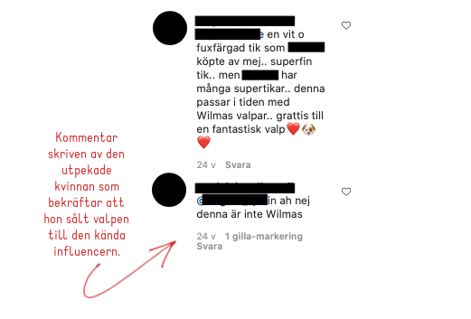 Kommentar skriven på influencerns Instagram av den misstänkta smuggelkvinnan som bekräftar att det är hon som sålt valpen till paret.
