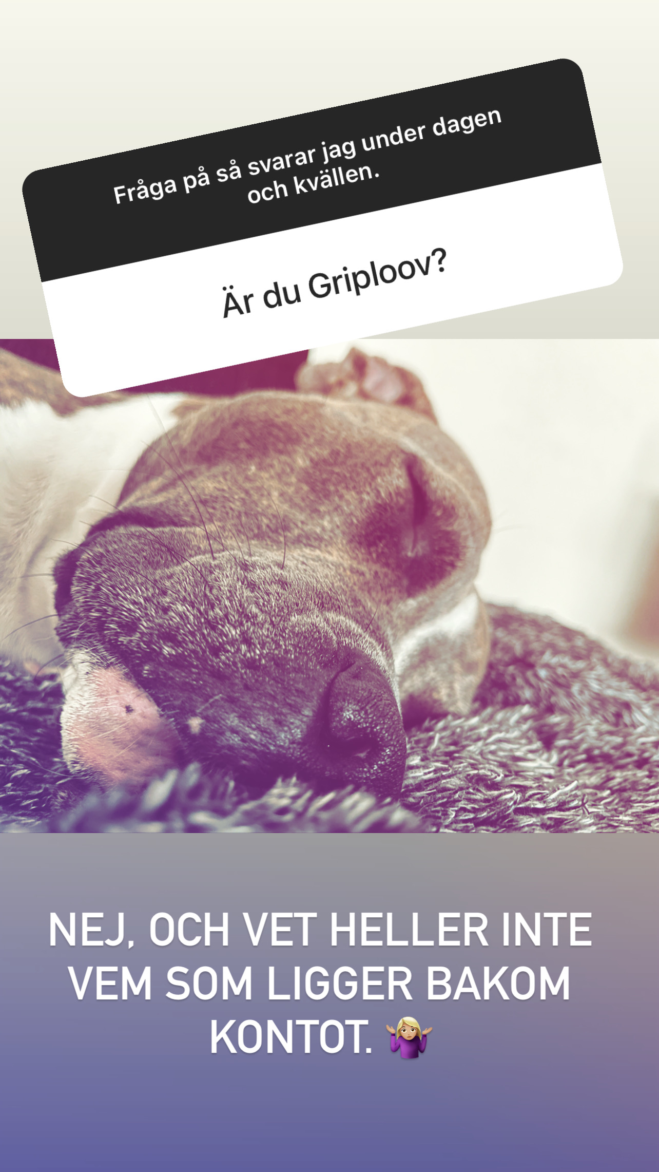 Fråga: Är du Griploov? Svar: Neh, och vet heller inte vem som ligger bakom kontot. 