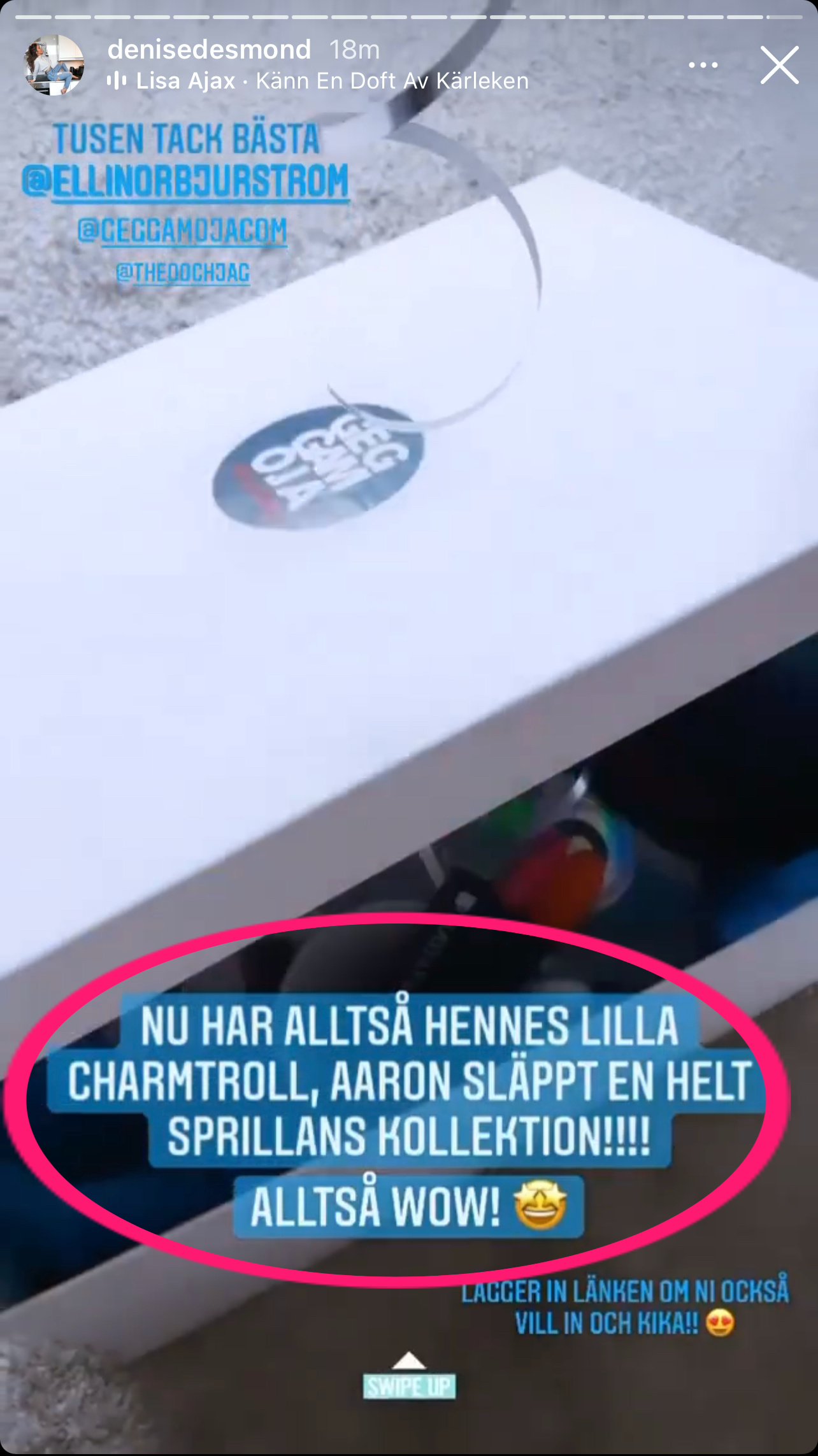 En skärmdump från Denise Desmonds Instastory där hon skriver att "Nu har alltså hennes lilla charmtroll, Aaron släppt en helt sprilland kollektion!!! Alltså WOW!"