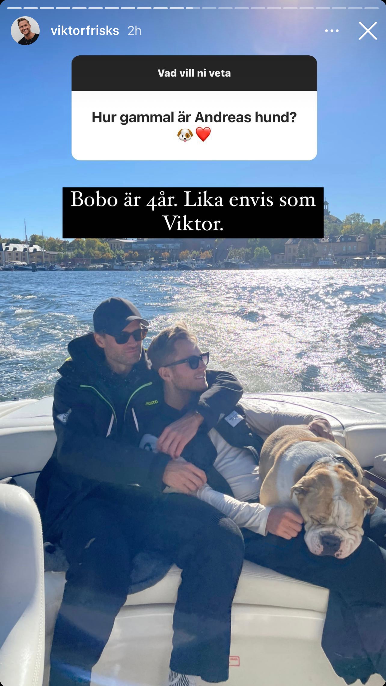 Hur gammal är Andreas hund? Svar: Bobo är 4 år. Lika envis som Viktor.