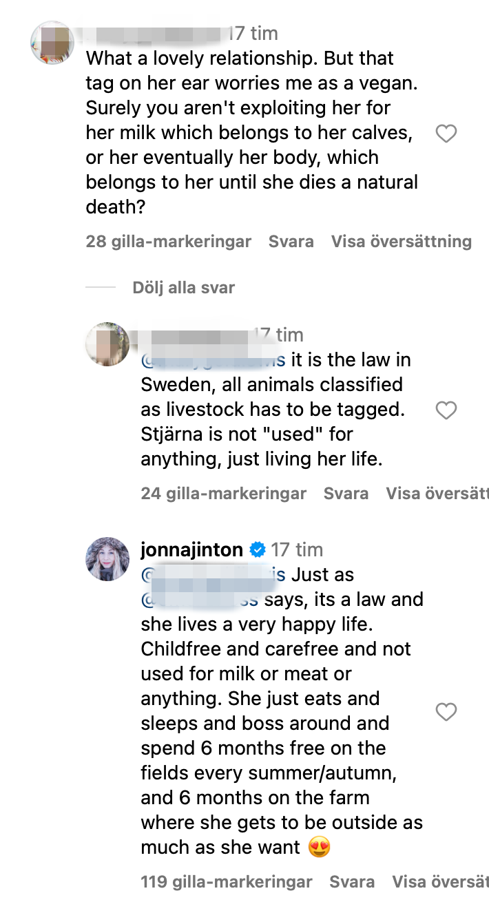 it is the law in Sweden, all animals classified as livestock has to be tagged. Stjärna is not "used" for anything, just living her life.