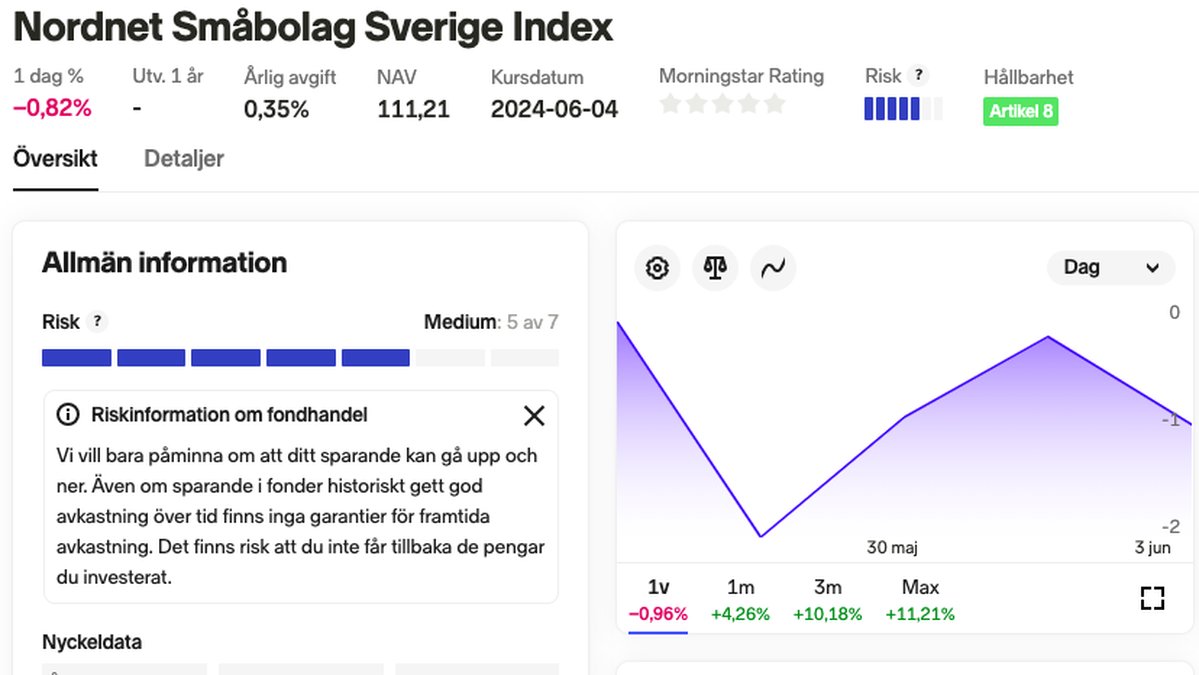 Frida Bratt ekonom ekonomi fond småbolag