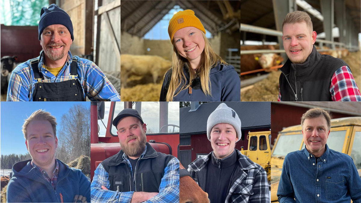 Deltagarna av Bonde söker fru 2023