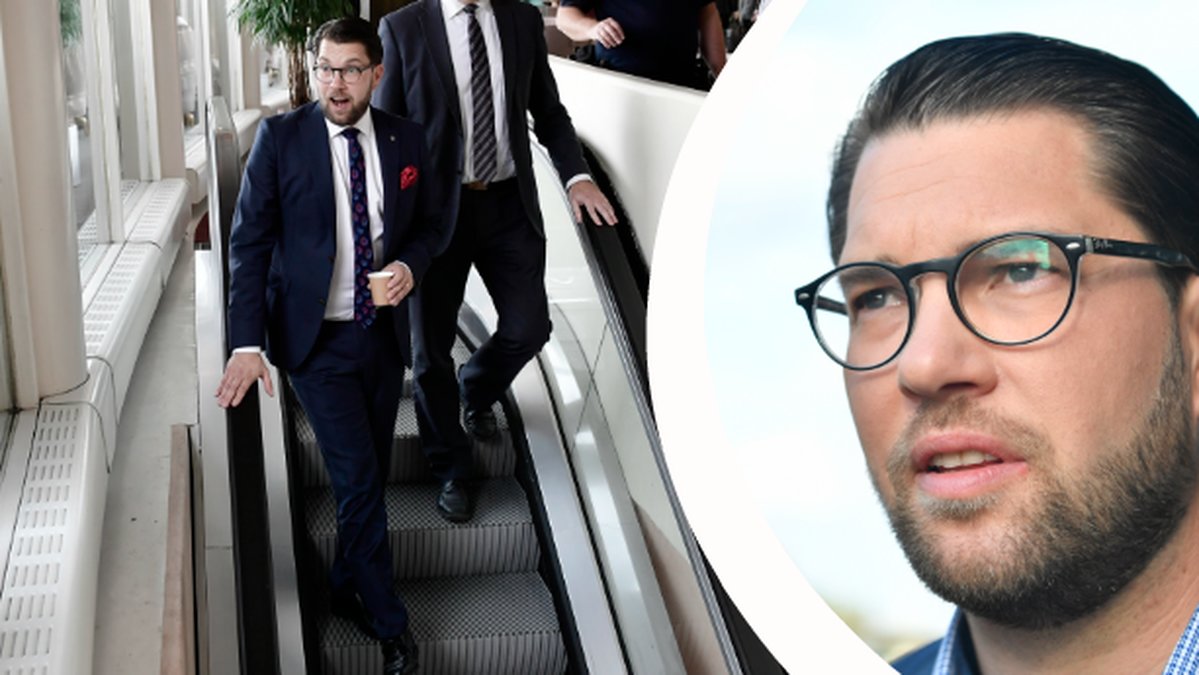 Jimmie Åkesson åker rulltrappa. Jimmie Åkesson.
