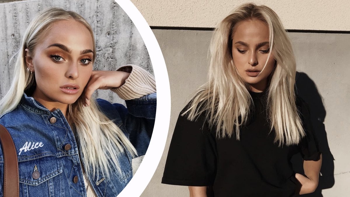 Allt du vill veta om Alice Stenlöf