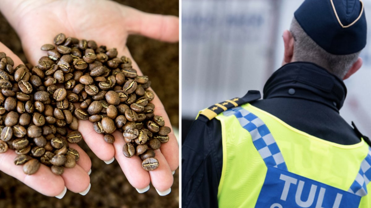 En 29-årig Malmöbo har erkänt penningsmuggling mellan Sverige och Danmark.