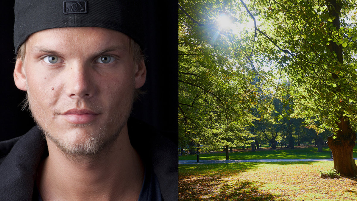 Avicii Tim Bergling