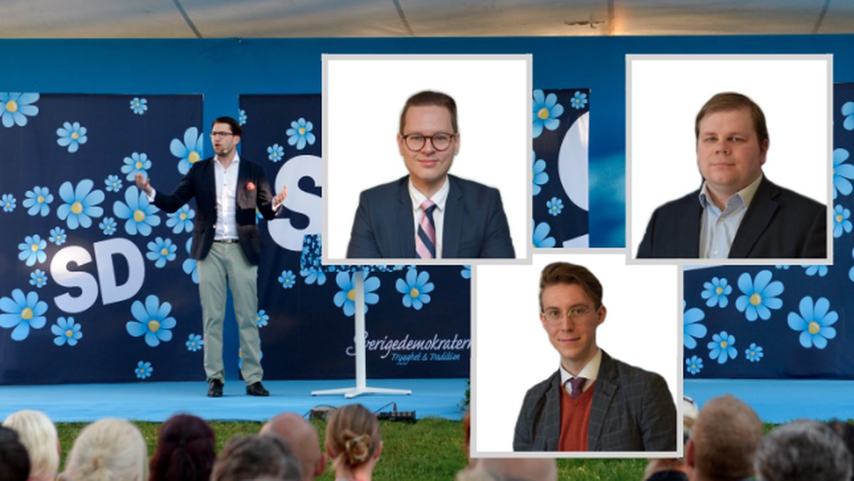 Den 9 september är det riksdags, landstings- och kommunval i Sverige.