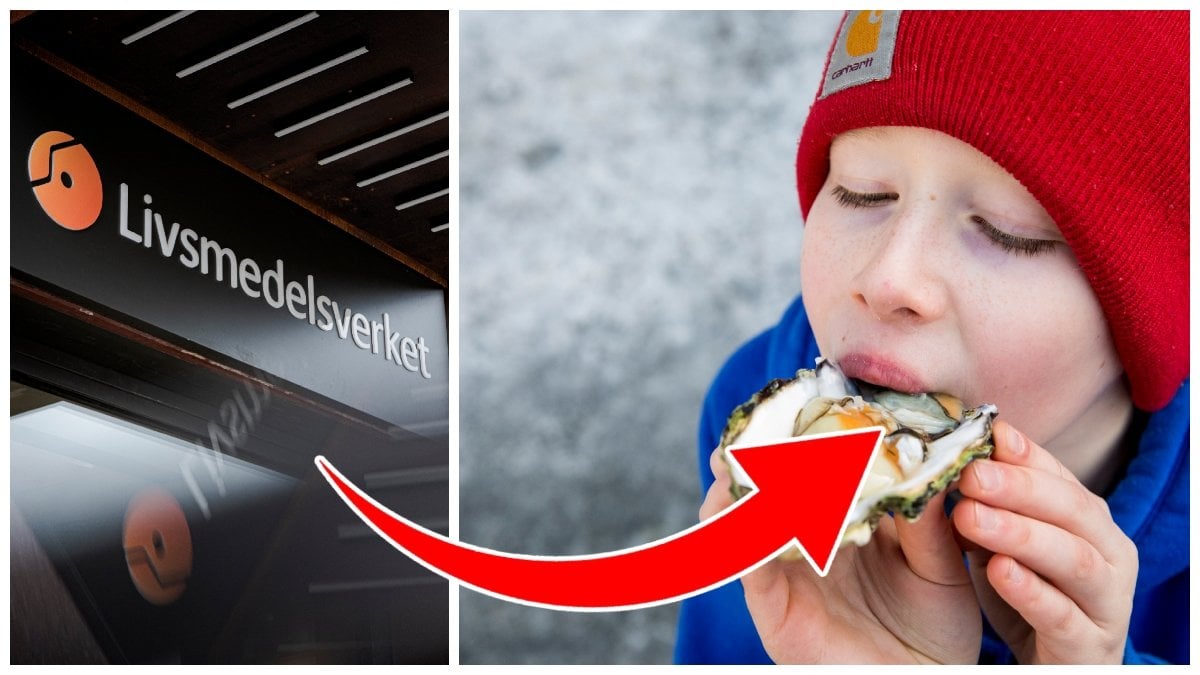 Livsmedelsverket logga och en pojke som äter ostron.