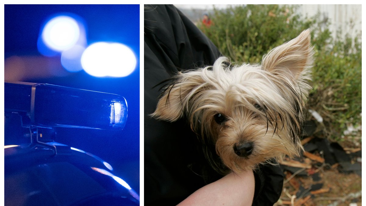 Två män döms till fängelse efter den blodiga hämndaktionen.