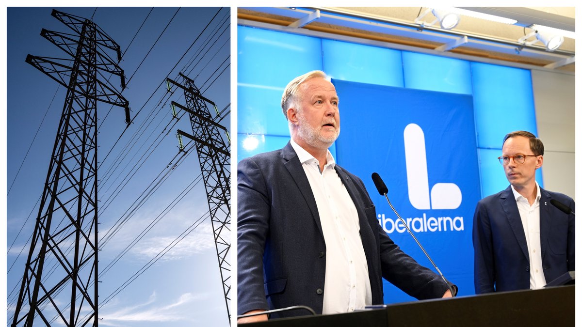 Liberalerna vill chocksänka elskatten.