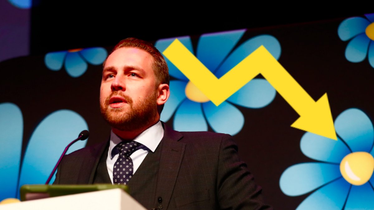 Bild på Sverigedemokraternas gruppledare i riksdagen, Mattias Karlsson. Grafik bredvid honom visar en pil som pekar nedåt. 