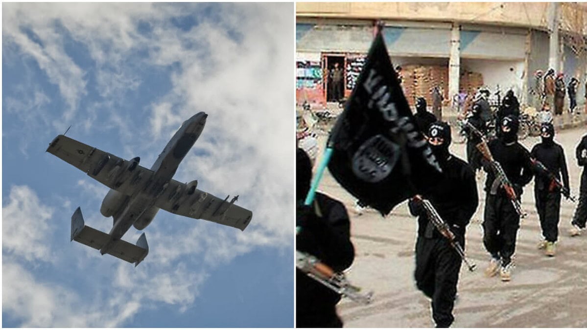 Terrorism