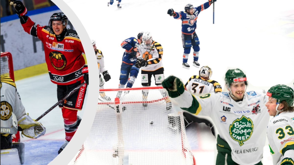 Luleåspelare jublar, Växjö gör mål mot Skellefteå, Björklövenspelare jublar.
