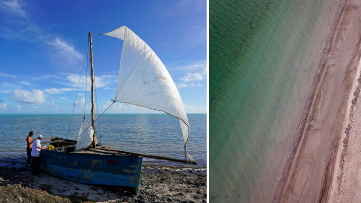 Minst 27 personer har hittats avlidna på en strand i Italien.