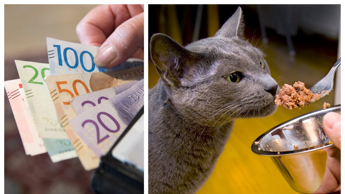 Katt- och hundprodukter har blivit betydligt dyrare.