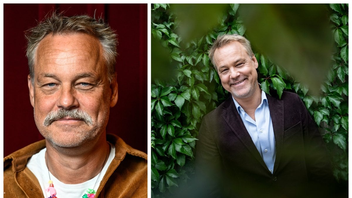 Henrik Schyffert drar in en lön som heter duga.
