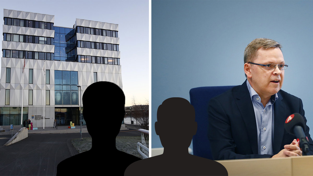 Tingsrätt, rättegång
