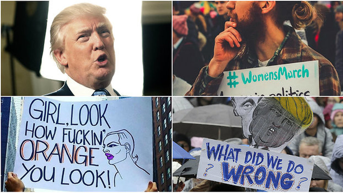 Womans march 2017