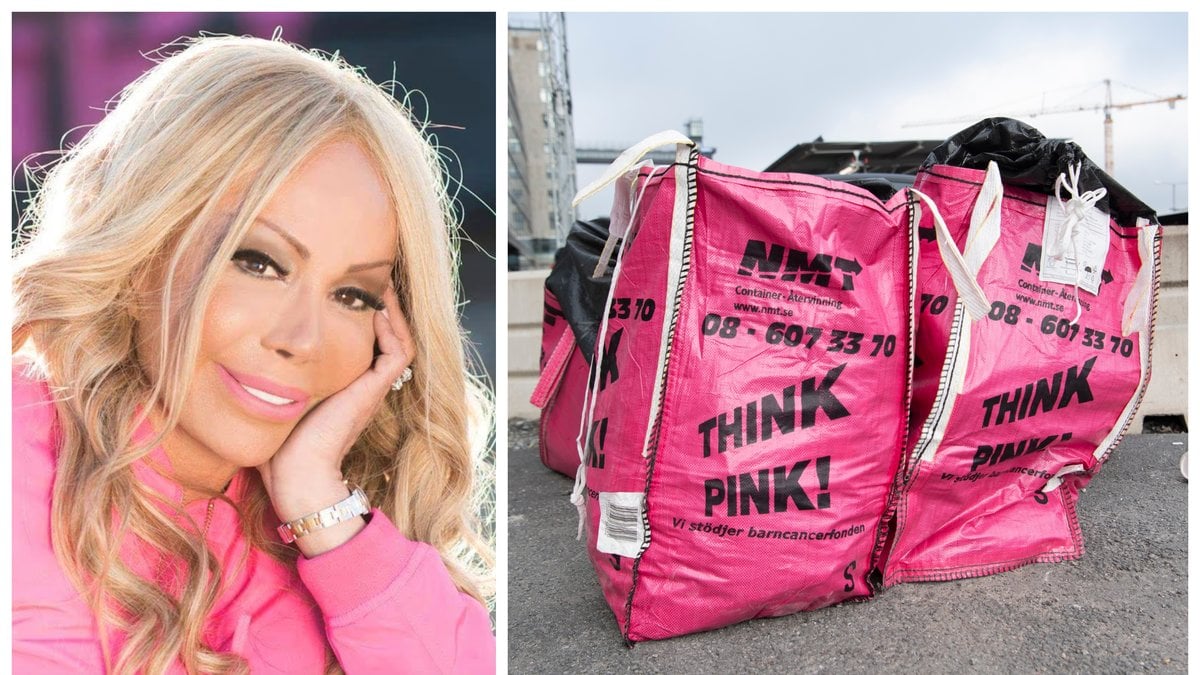 Bella Nilsson, som i dag har nytt namn och i stället heter Fariba Vancor, var vd för Think Pink. 