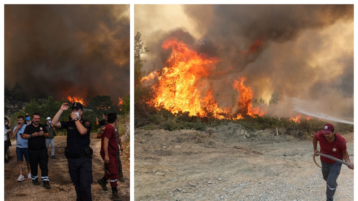 Omfattande bränder härjar vid Medelhavet.