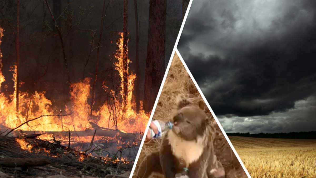 Nu ska det börja regn i Australien