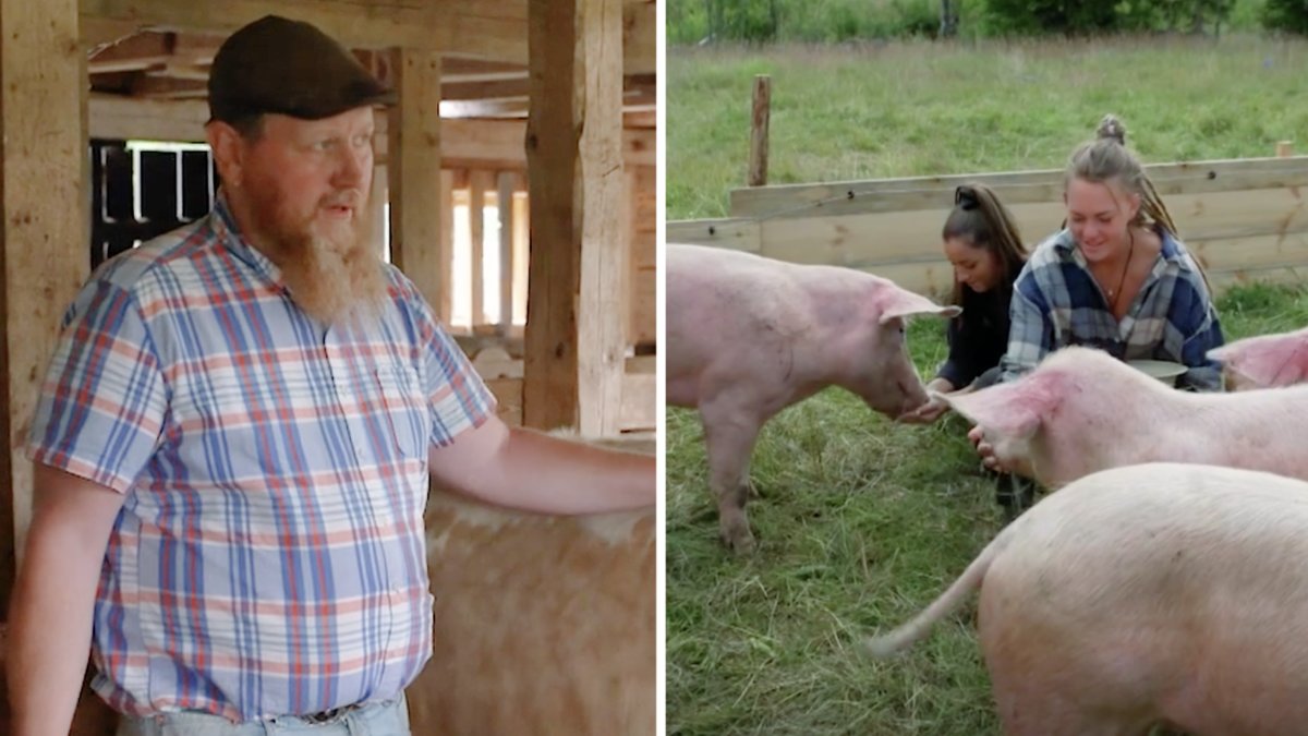 Det finns alla möjliga typer av djur på Farmen. 