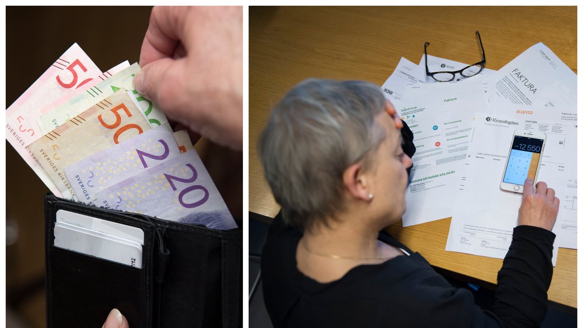 Hur blir plånboksåret 2024?