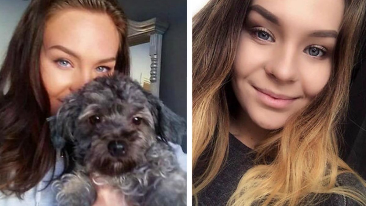 Hund, Fyrverkerier, Raketer, Nyår