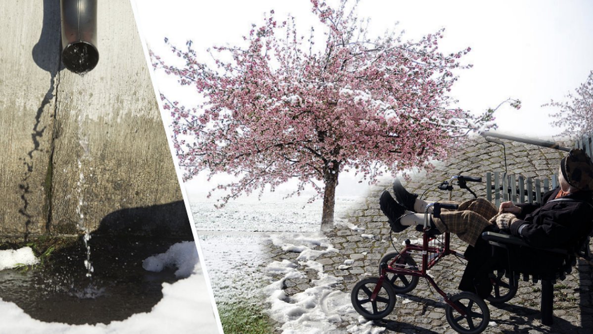 Stuprör, snö smälter, äldre dam solar benen på rullator, träd
