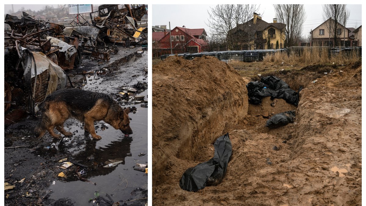 Bilderna från Butja väcker avsky världen över.