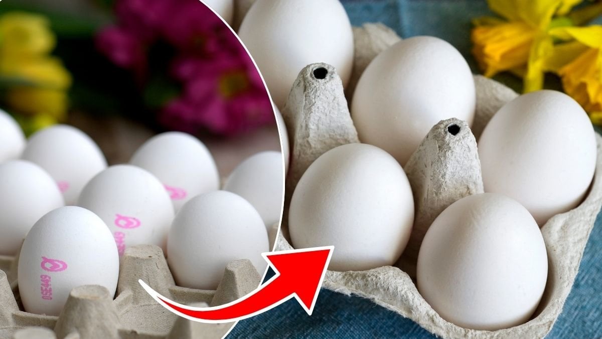 Bilder på ägg och äggkartonger.