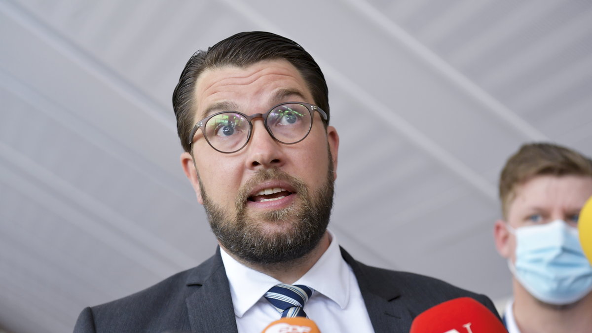 Jimmie Åkesson var inte förvånad över Stefan Löfvens beslut.