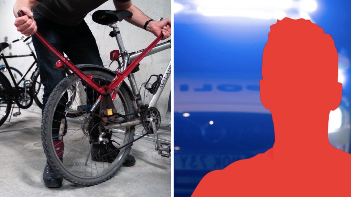 Flera hittar sina stulna ägodelar på Blocket.