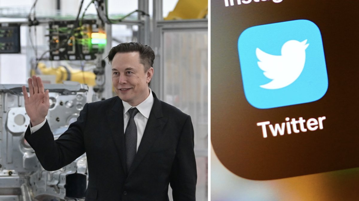 Elon Musk Twitter