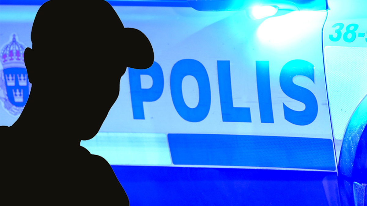 Svensk artist misstänkt för mord