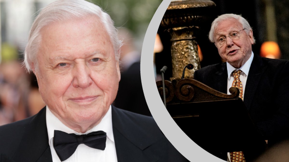 David Attenborough fakta