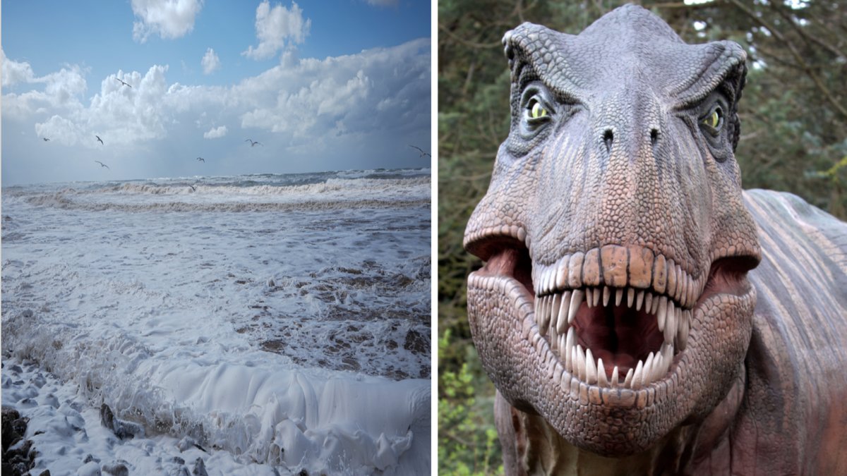 Det är numera vedertaget att kollisionen var den direkta orsaken till att dinosaurierna dog ut.