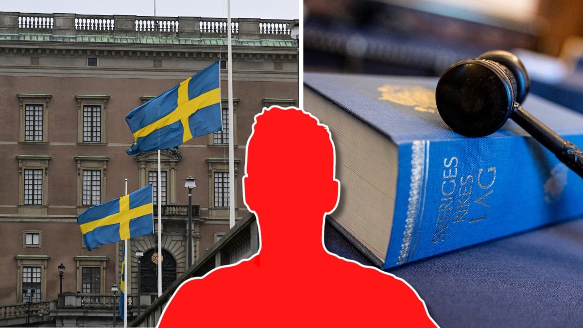 Kungahuset och en svensk lagbok. 