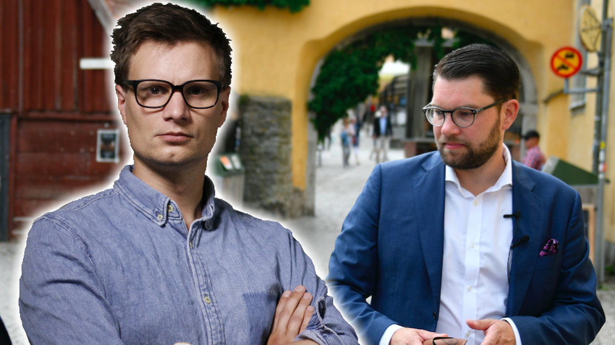 Sverigedemokraternas största problem