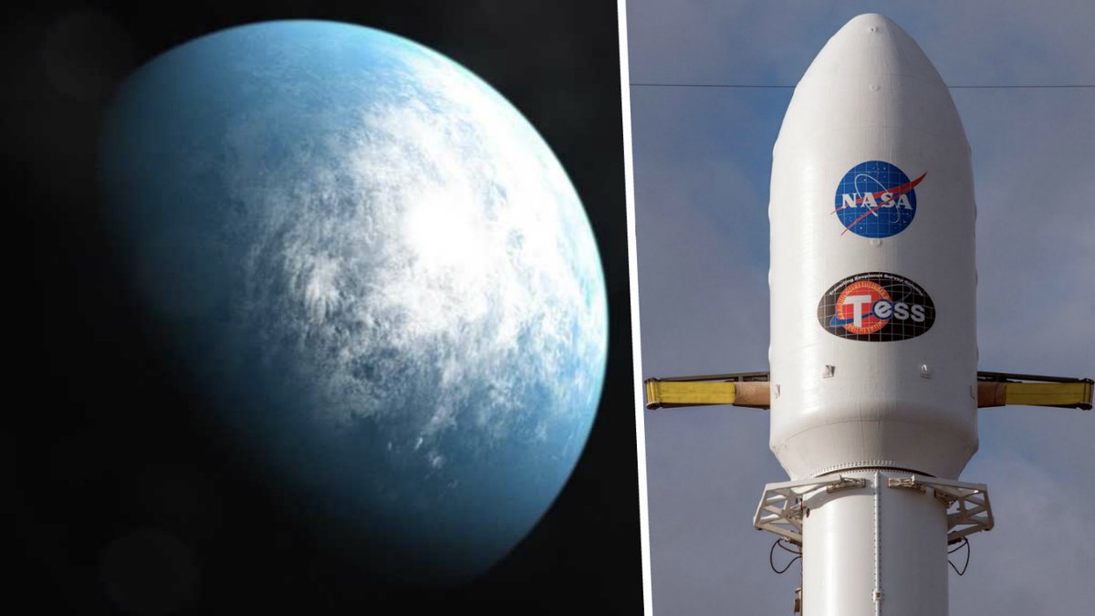 Planeten TOI 700 d liknar jorden.