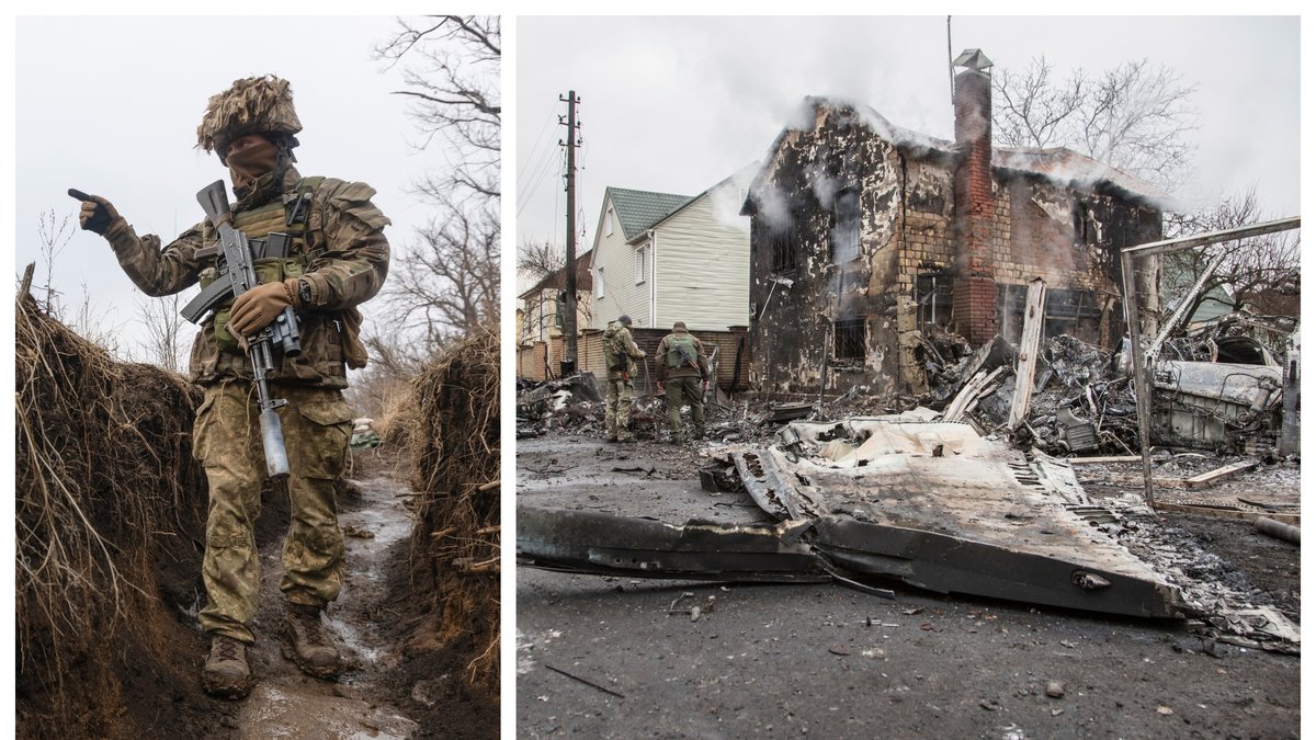 Bilderna är inte från ön Zmiinyi.