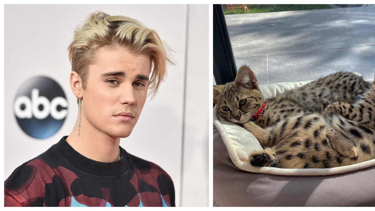 Nu svarar Justin Bieber på den massiva kritiken.