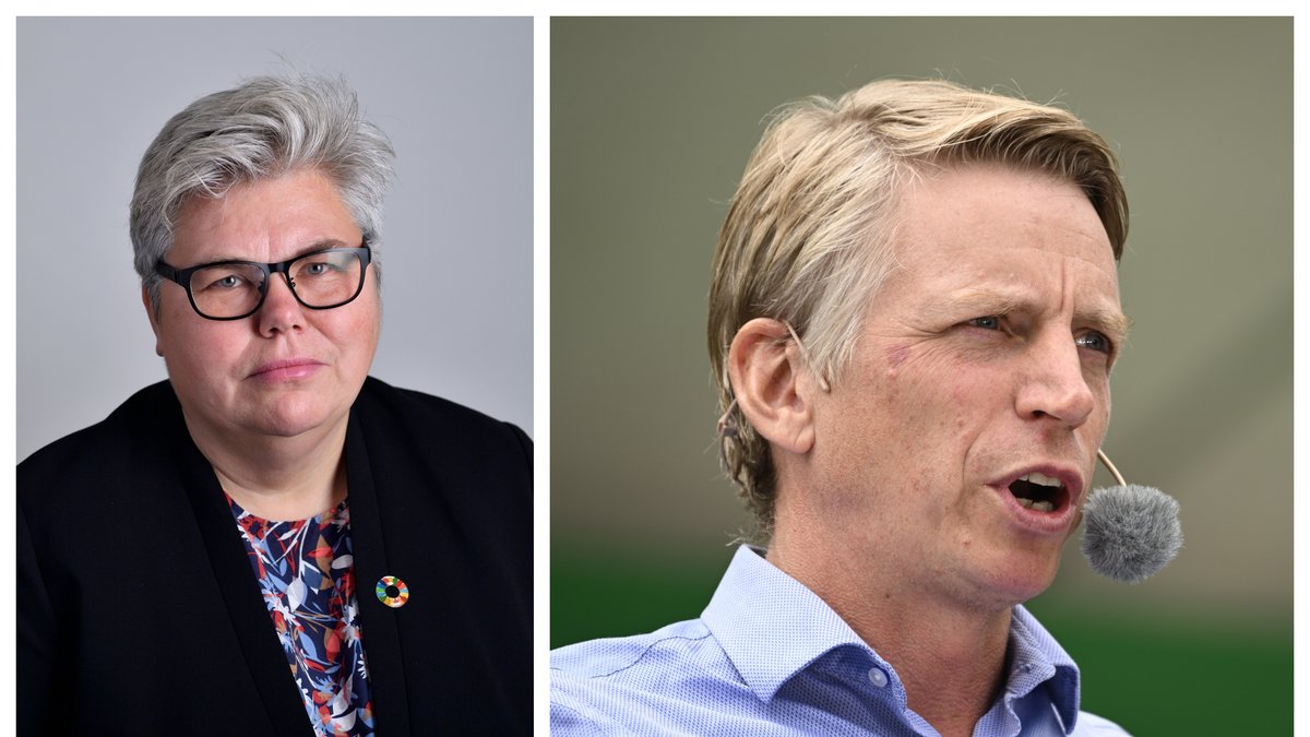 Vem av Miljöpartiets riksdagsledamöter tjänar mest?