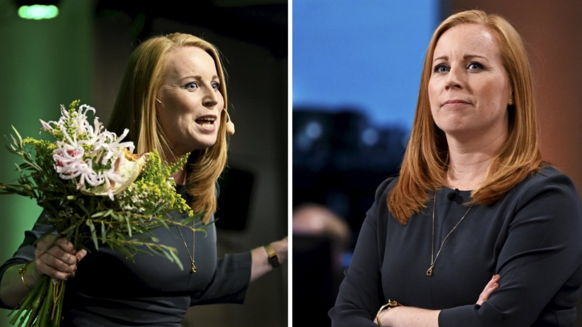 Den lokala C-toppen Tomas Zander vill att Annie Lööf ska avgå och hoppas på en ny partiledare.
