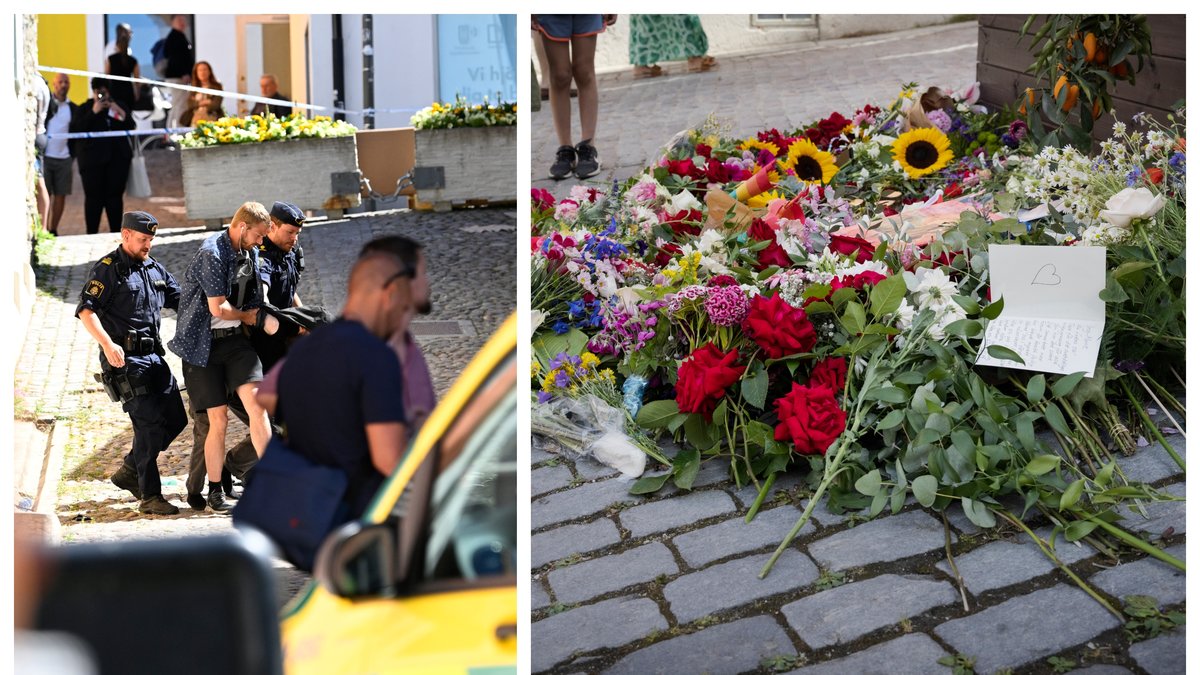 Theodor Engström, 33, har åtalats efter dådet i Visby.