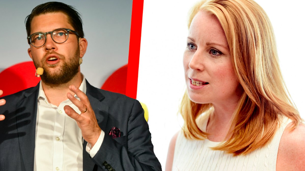 Sverigedemokraterna och Centerpartiet kommer inte bra överens. 
