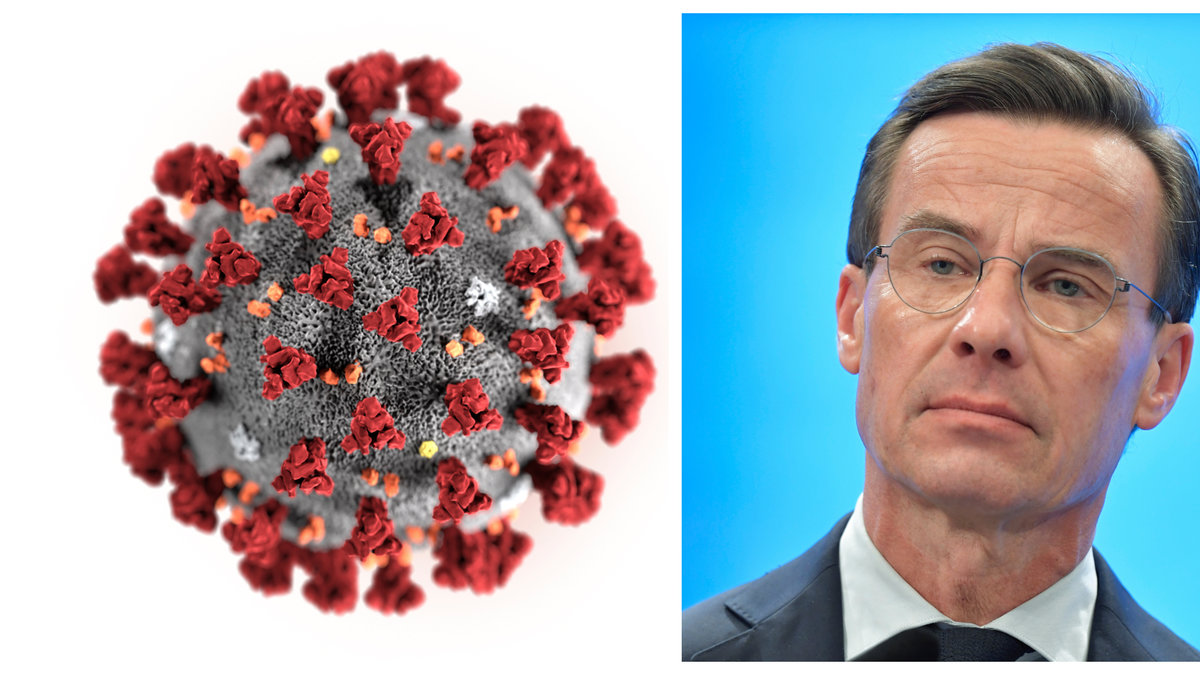 Moderaterna vill införa masstester.
