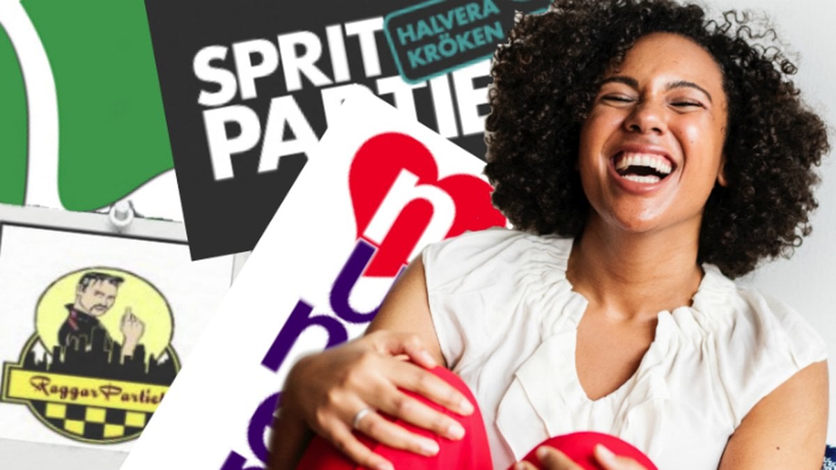 De konstigaste partierna du kan rösta på i riksdagsvalet 2018